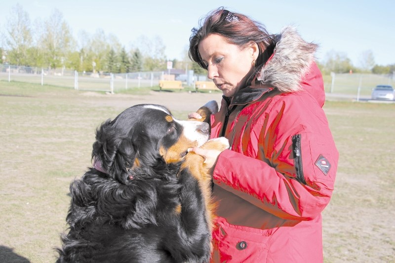 Dog owners like Roxanne West with her two-year-old Bernese mountain dog Ella will now be able to enjoy some time together at the newly renamed Airdrie Festival of Lights