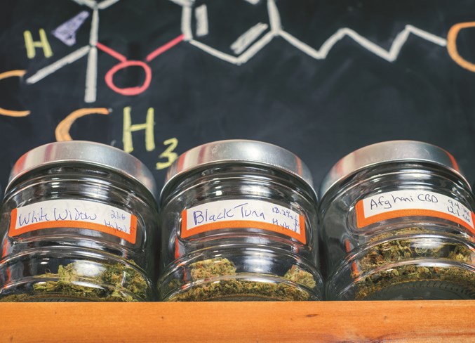 Medical marijuana jars &#8211; cannabis dispensary concept