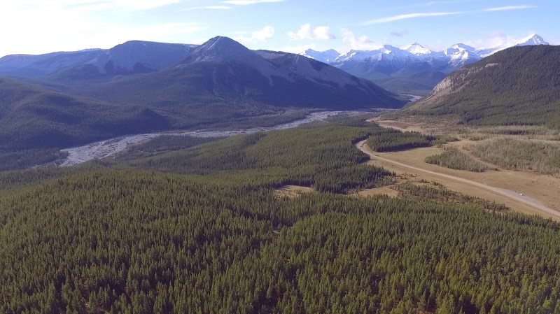 The planned clearcut of an area known as the Mustang Hills, located southwest of Bragg Creek, has prompted public consultation prior to the project&#8217;s start in December