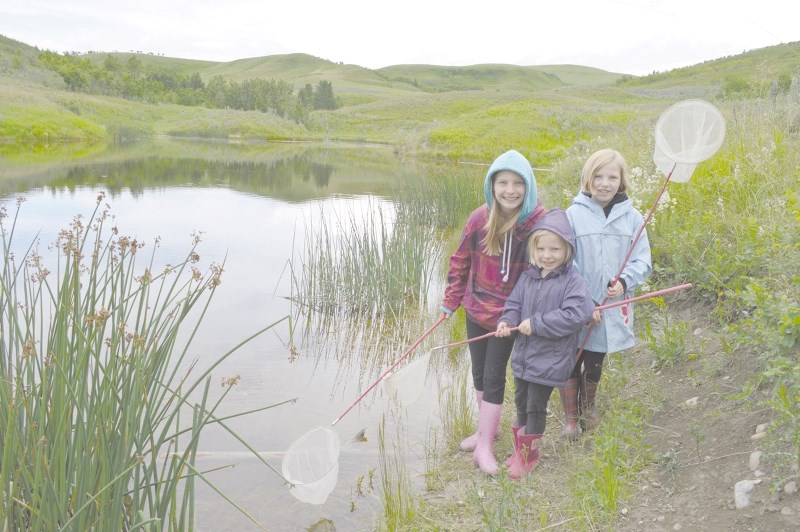 Kids can enjoy the Build-a-Bison station, part of Glenbow Ranch Provincial Park&#8217;s Explore Pond program, this spring and summer.
