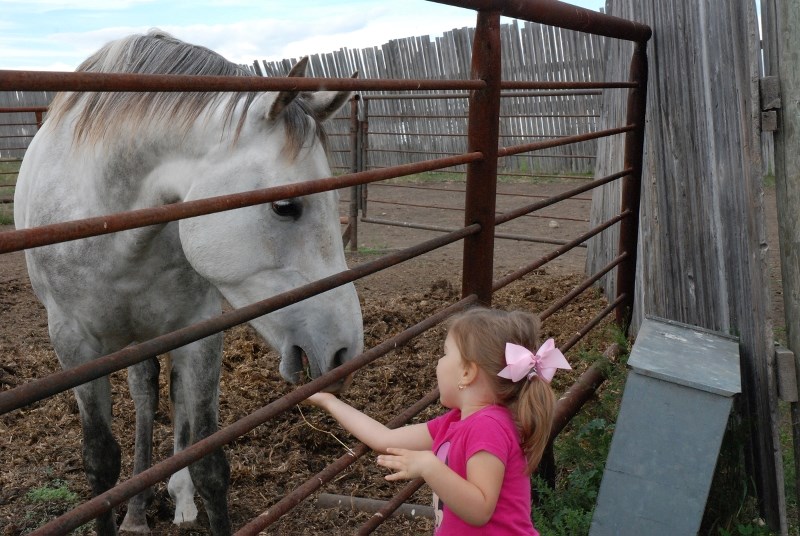 Alberta&#8217;s Open Farm Days event gives urban and rural residents a chance to explore the farm and find out more about what the province has to offer.