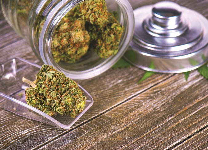 Cannabis consultation