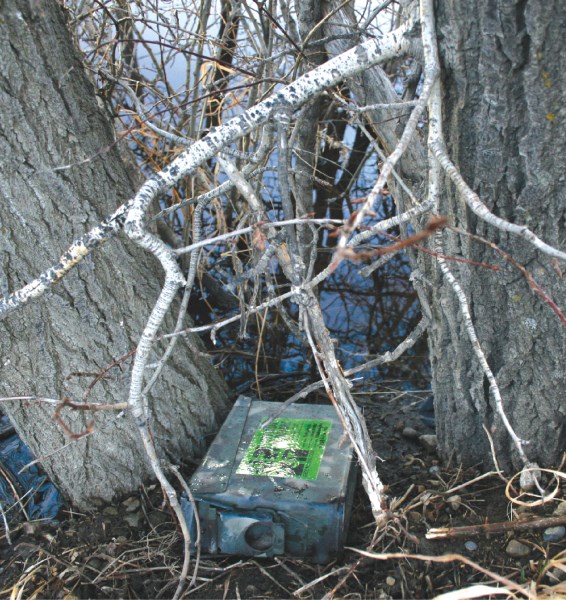 This geocache was found near Airdrie, and contained a log book, along with a bag full of goodies to trade out.