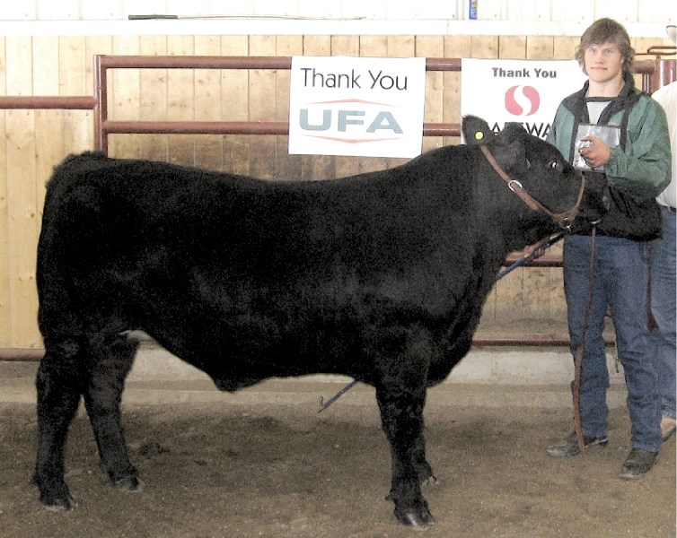 Grand Champion, Zac Goodman (top) won grand champion steer and showman at the Airdrie 4-H Beef Club Achievement Day, May 15.