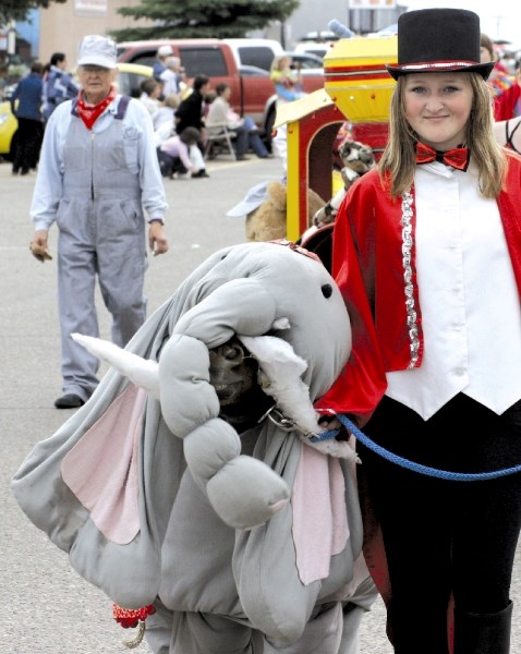 Smokey Mountain Miniatures wowed the parade crowd with their tiny costumed ponies, July 10, especially this little character, dressed as an elephant.
