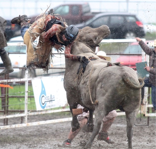 FCA bull rider Sonya Parker gets bucked off during her June 18 ride at the Pete Knight Rodeo in Crossfield.