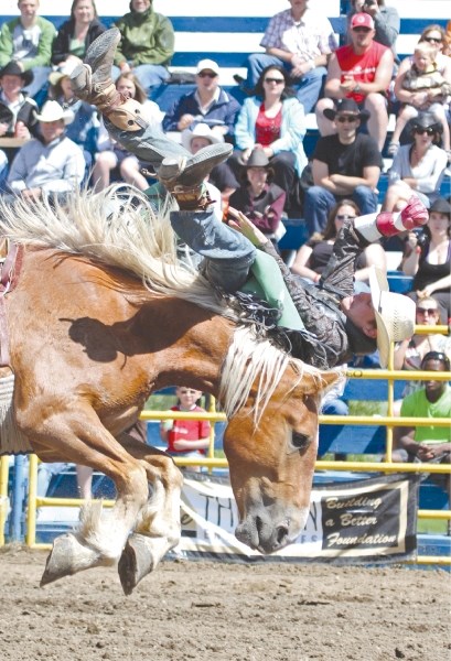 Andy Shold of Three Hills can&#8217;t hold on for the full eight seconds during the novice bareback event during the Canada Day performance of the Airdrie Pro Rodeo.