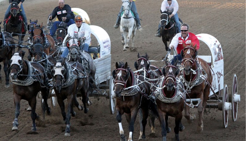 Cochrane&#8217;s Grant Profit (right) claims a heat win on the final night of the Calgary Stampede, July 17.