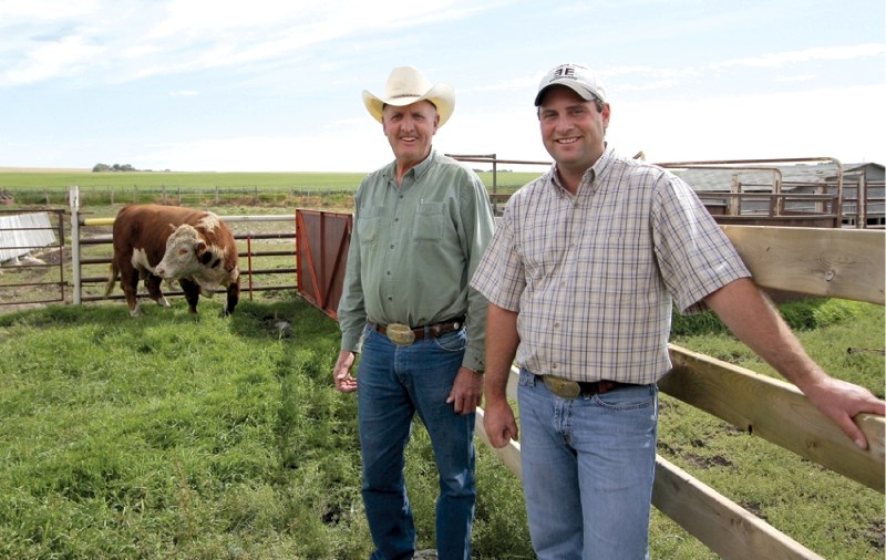 Balzac-area residents Bill and Brad Lamport&#8217;s family has been in Hereford breeding business since 1942. Just over a decade ago, they started focusing on carcass