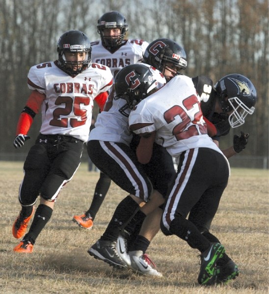 Two of the Cochrane Cobras take down a Bow Valley opponent as their teammates look on in a 49-6 win over the Bobcats. The win advances the team to the regional qualifiers