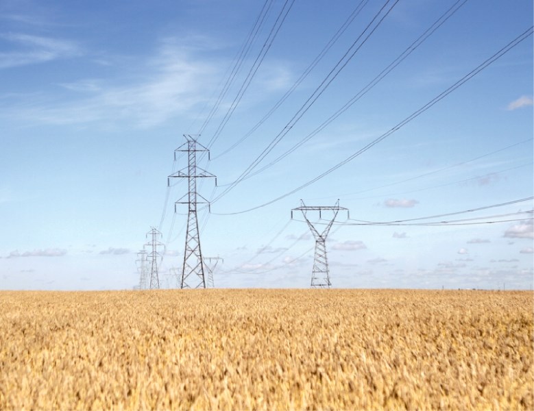 The Province recently announced it appointed a panel of experts to review plans for the two massive high-voltage transmission lines proposed to run from the Edmonton to