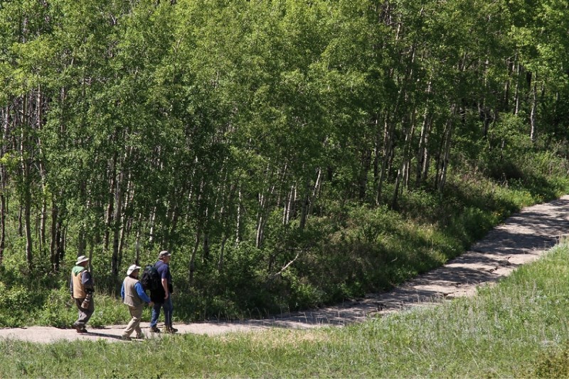 Local residents can take advantage of summer programming in Glenbow Ranch Provincial Park in west Rocky View County, east of Cochrane.