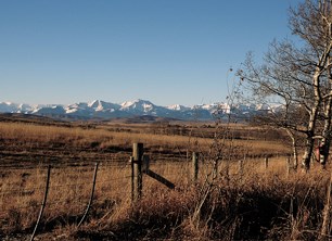 Work on the Southern Foothills Study, an extensive project looking at the impact of human activities on Alberta&#8217;s southern foothills, is back under way after a
