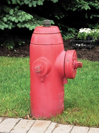 Village council requested Beiseker Fire Department provide regular maintenance on fire hydrants in the village after the fire chief reported that the hydrants have not been