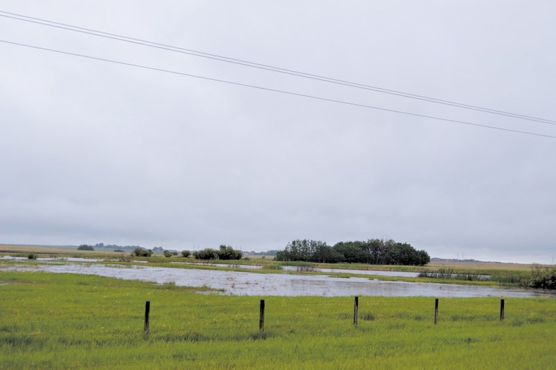 Portions of the eastern corner of Rocky View County were under rainfall warnings June 17, 18 and 19. Small areas of localized flooding were seen outside of Dalroy
