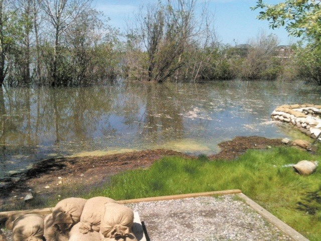 The backyard of Cochrane Lake-area residents Jill Breeck and John Boutet&#8217;s backyard was underneath water in the beginning of July due to rising water levels in the