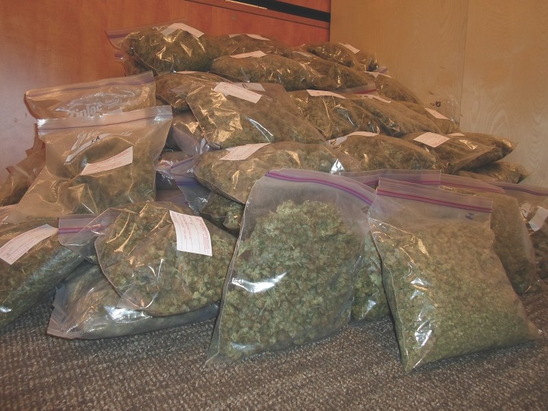 Tips from the public lead the Alberta Law Enforcement Response Teams to a large marijuana bust west of Airdrie on May 22.
