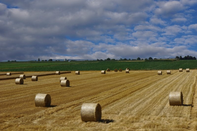 Different weather conditions bring different problems for crop producers. This year&#8217;s early rainfall might cause fungal diseases, but overall should have a more