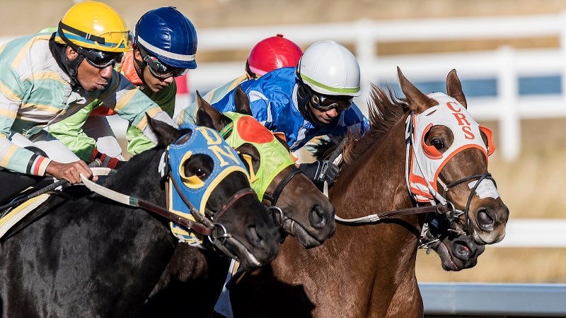 For the first time since the 2008 racing season, thoroughbred racing made its return to southern Alberta when Century Downs Racetrack and Casino held meets through September