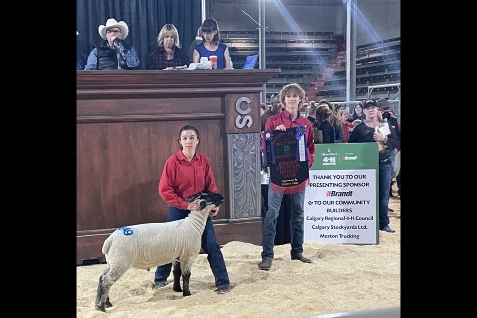 Members of Irricana 4H are pictured at the sheep show in 2022. Irricana 4H has seen membership rise from fewer than a dozen members to 60 members in the past six years.