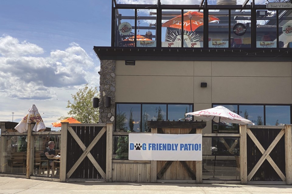 Toad 'n' Turtle Pubhouse & Grills boasts a banner stating dogs are allowed on its patio following changes to Alberta legislation on May 26.