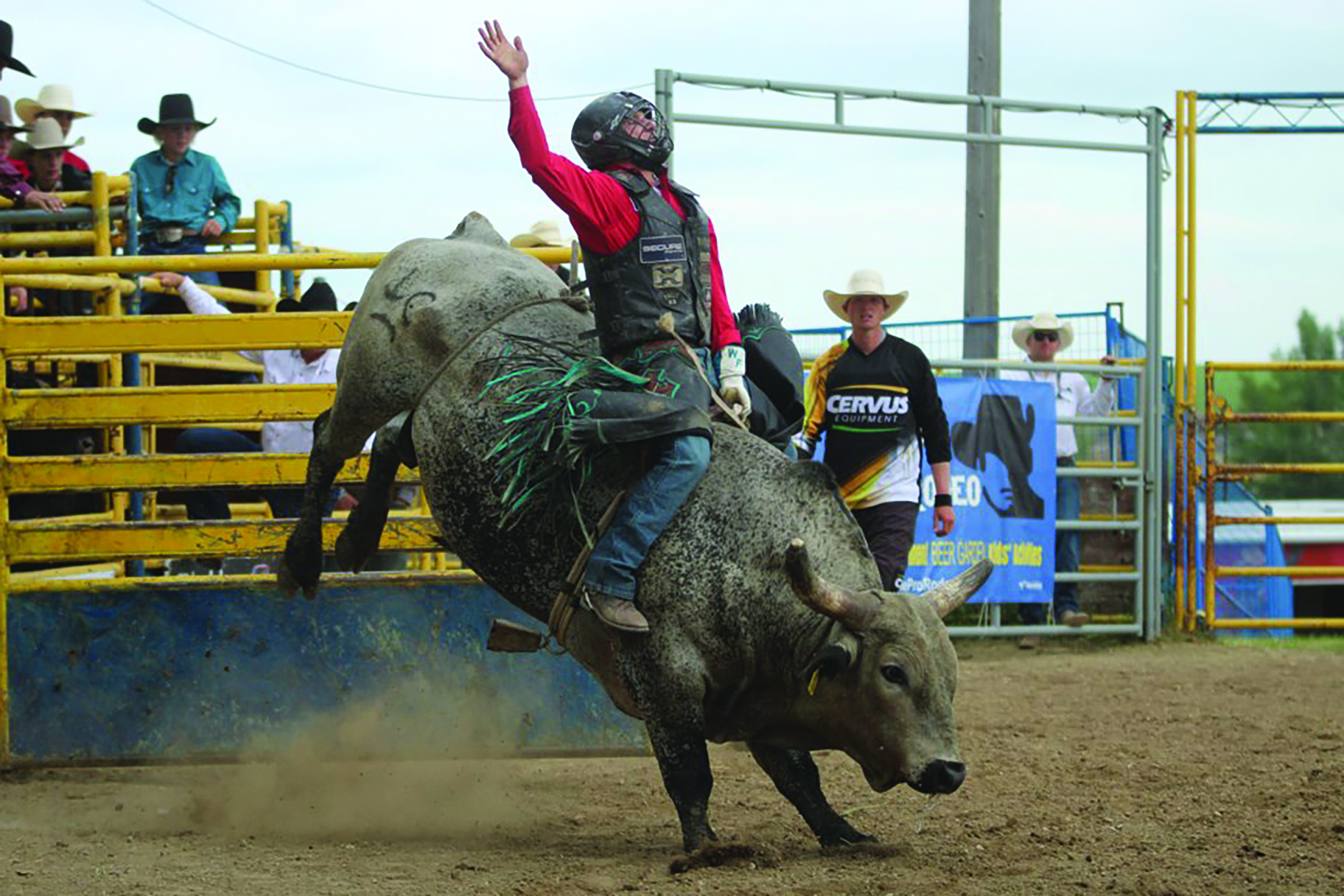 Airdrie Pro Rodeo to host amateur event