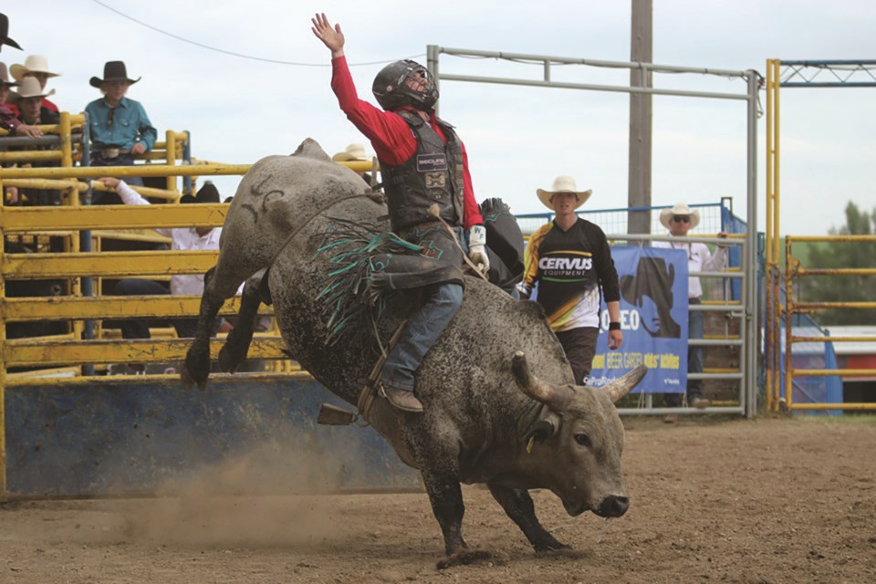 amateur rodeo saddle cow riding