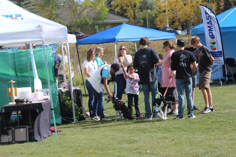 Lots of wellness options for people looking for some life help during the Thumbs Up Foundation's Peace in the Park event on Sept. 23.