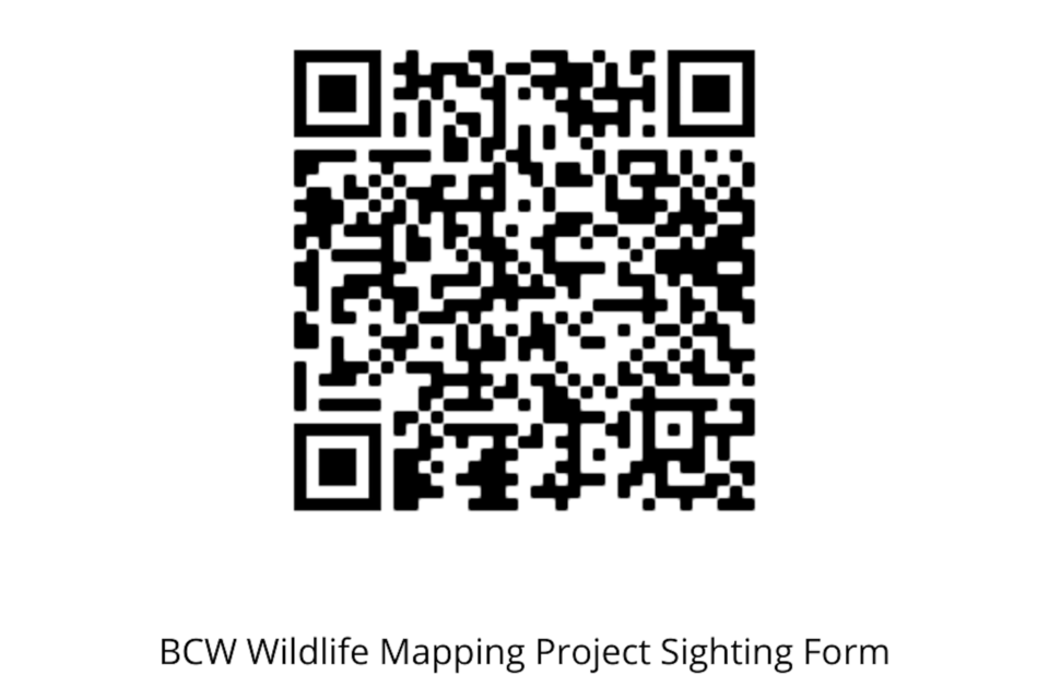RR-BCW Wildlife Mapping Project Sighting Form