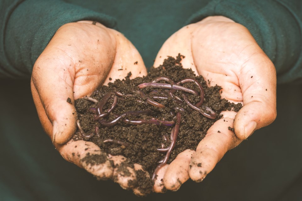 The Bragg Creek Community Association is hosting a vermicomposting workshop in partnership with Grow Calgary on June 17. 