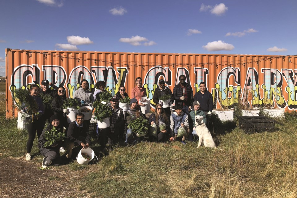 Grow Calgary, a community farm in Balzac, is looking for a new home to grow food and care for rescue farm animals later this year. 