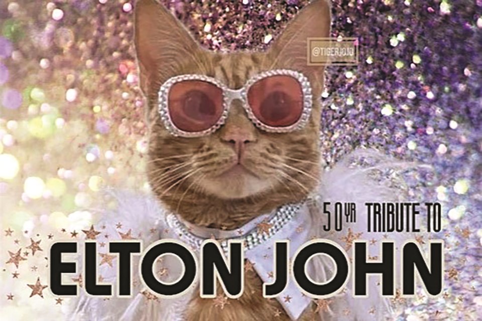 Tails to Tell is hosting an Elton John tribute show in support of cats and kittens on Oct. 1. 