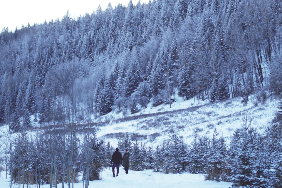 After 13 months of closure, Big Hill Springs Provincial Park, located 10 kilometres north of Cochrane, has reopened to the public. 