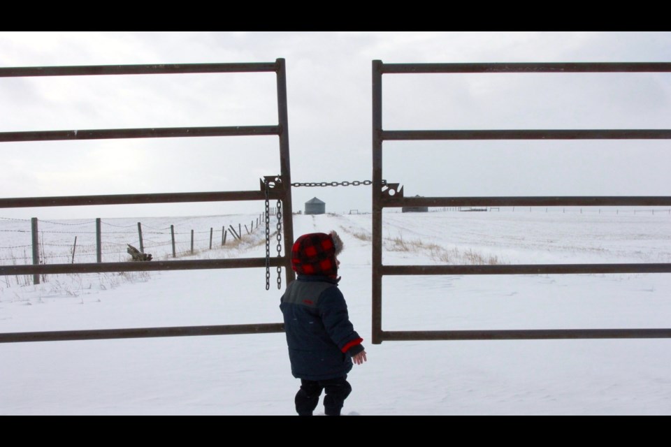 Winter Days returned to Rocky View County this week.