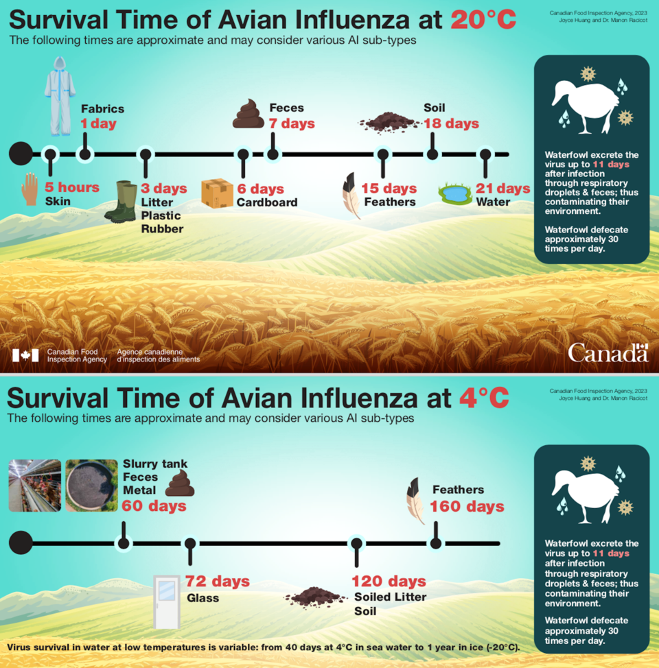survivaltimeavianinfluenza_canadianfoodinspectionagency