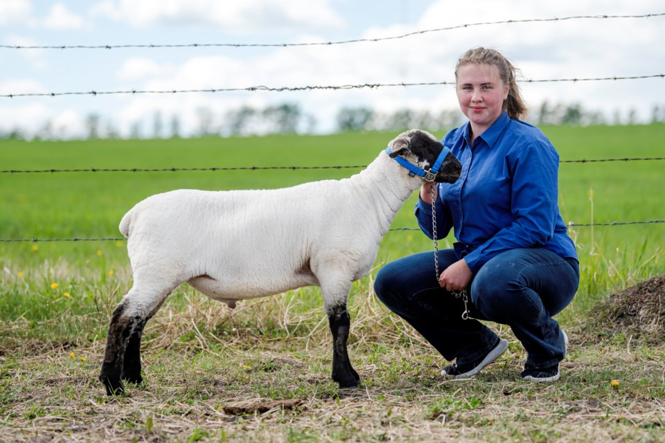Emily Wiebe Grand Champion Sheep
