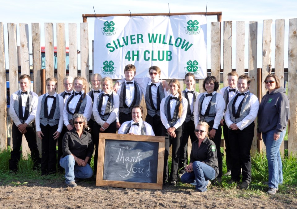 Silver Willow 4H