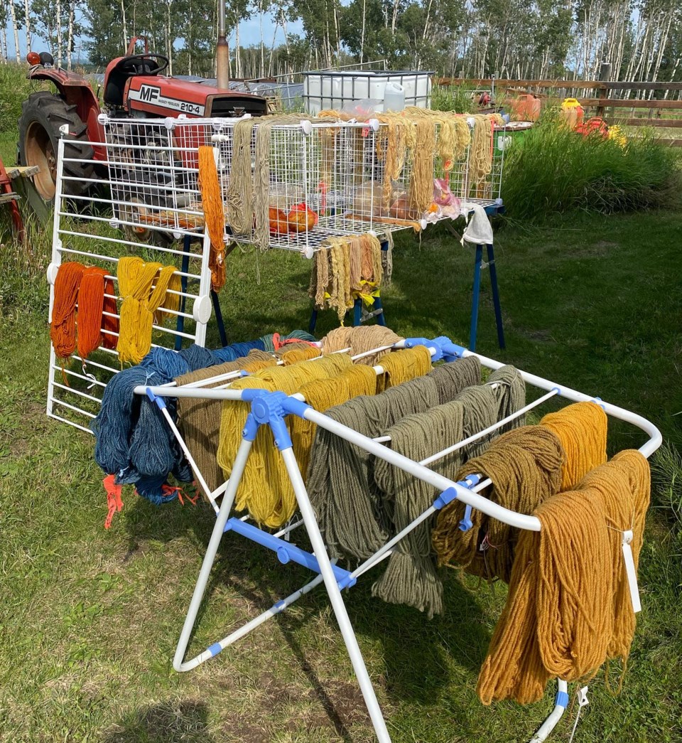 npswg-natural-dyes