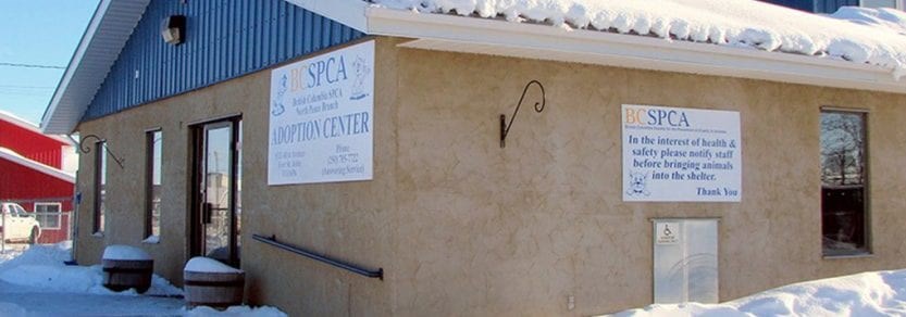 SPCA-fsj