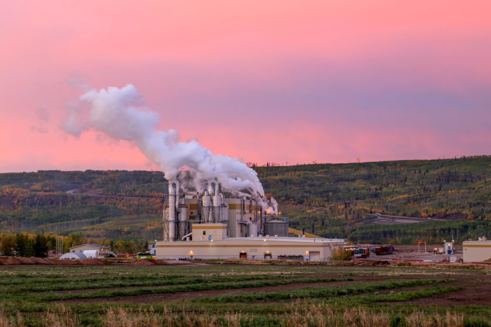 Taylor-Pulp-Mill-DonHoffmannPhoto