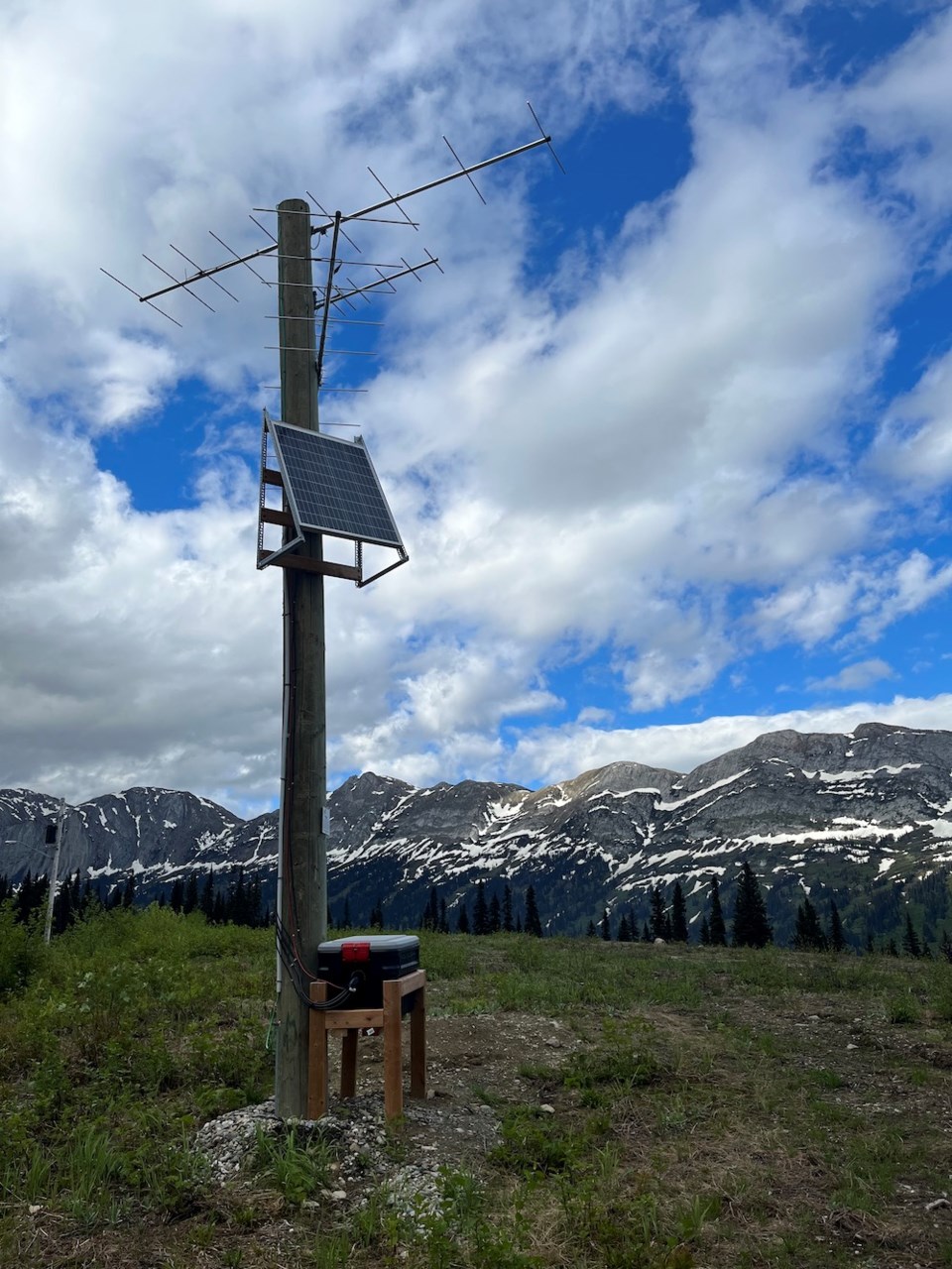 ‘Fly-by’ science helps at-risk birds and bats