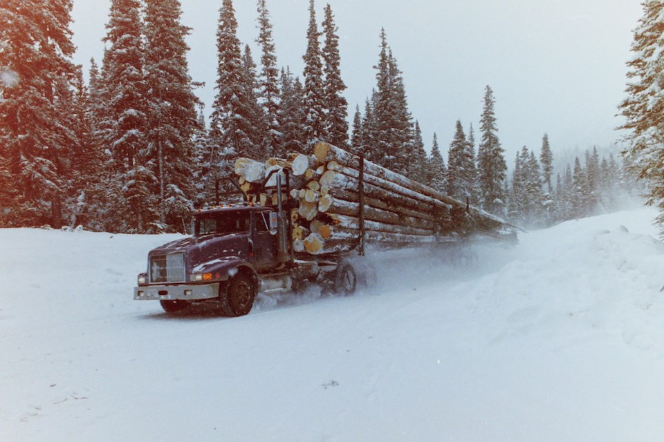 saugstad-forestry-series-1