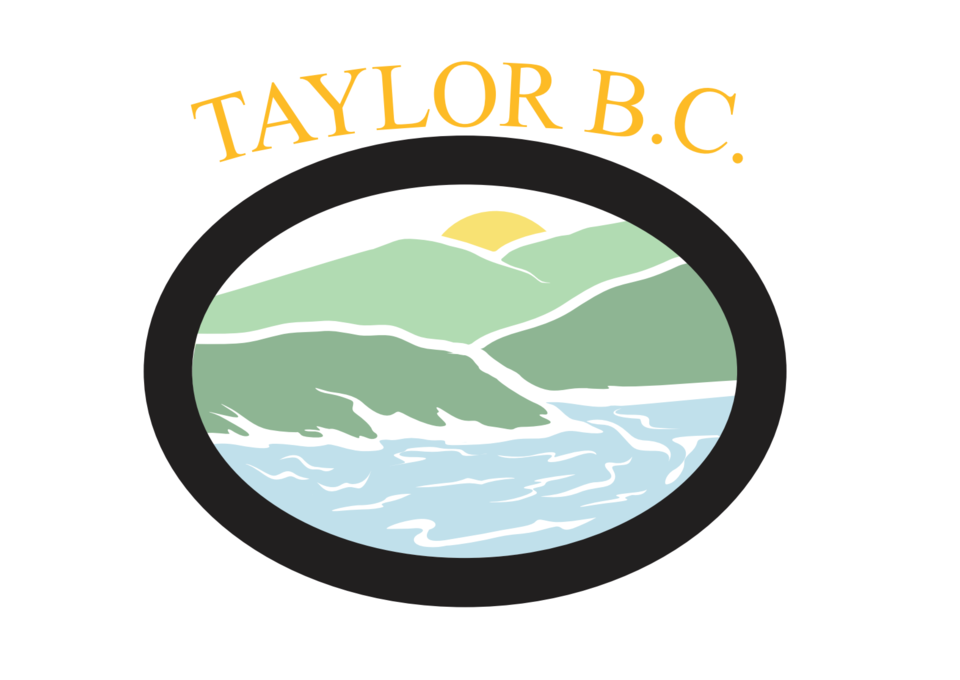 district-of-taylor-logo
