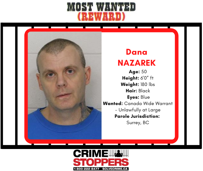 Captured fugitive Dana Nazarek. 