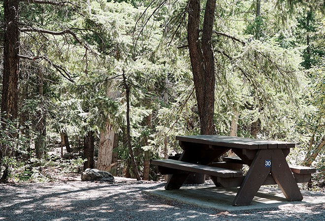 picnic-table-woods-660x450