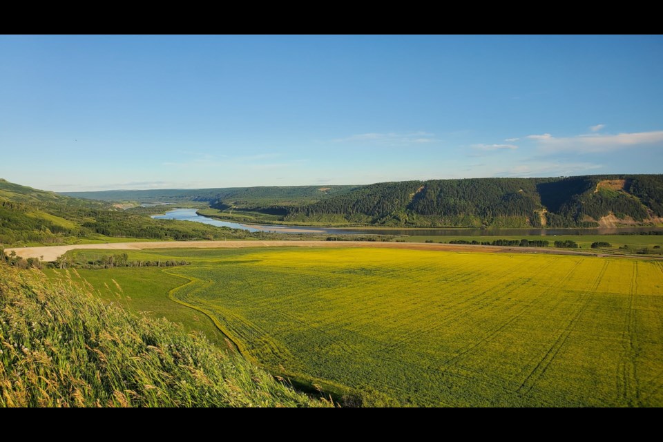 The Peace River valley by Bear Flat. 