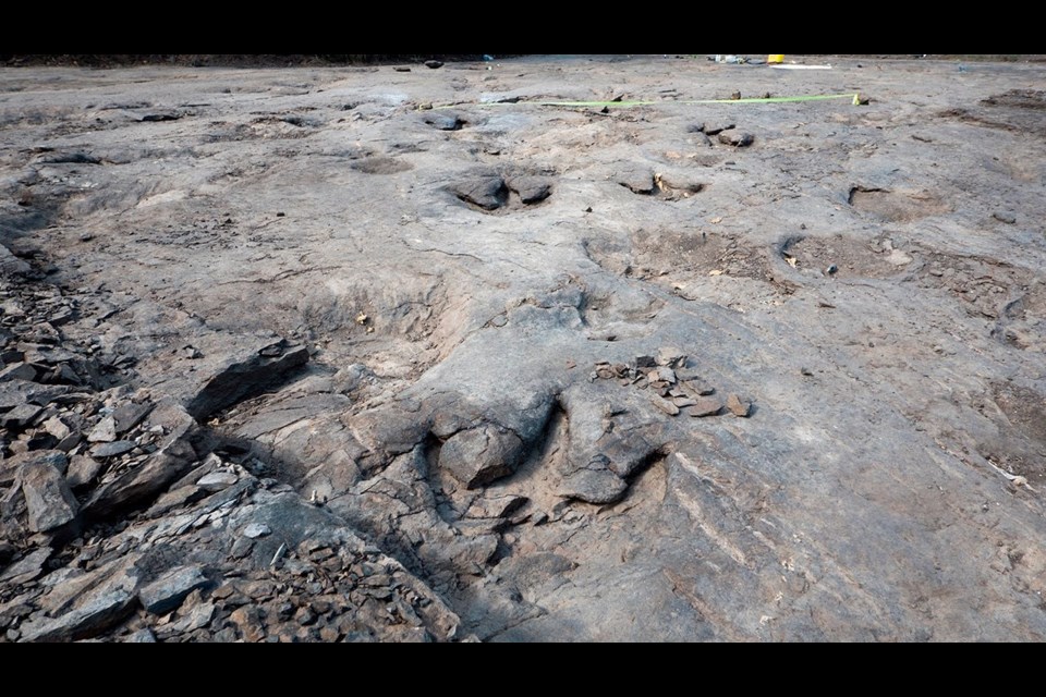 The Six Peaks Trackway near Hudson's Hope in 2016.