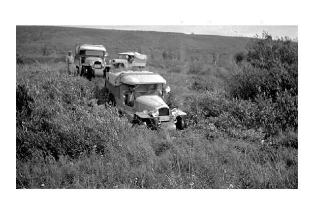 Bedaux-Champagne-Safari