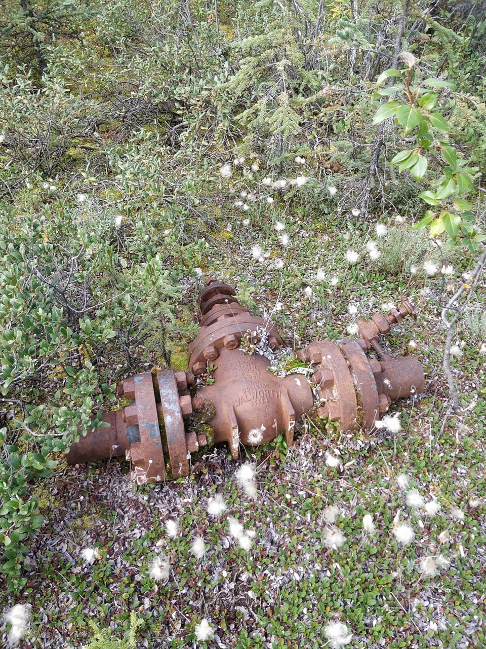 Canol_pipeline_valve