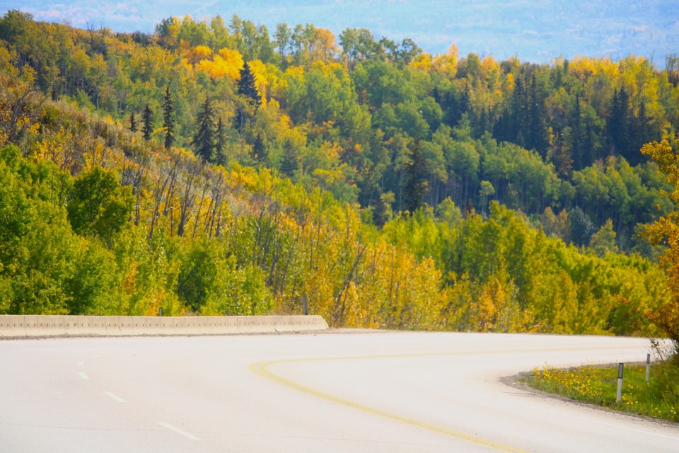 Fall officially arrives in the Peace Country at 6:04 p.m. this evening. These photos were taken Thursday afternoon showing the changing colours of the foliage on the North Taylor Hill Welcome, autumn!